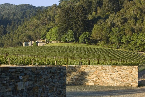 Красивый дом у виноградника Sonoma от Aidlin Darling Красивый дом у виноградника Sonoma от Aidlin Darling