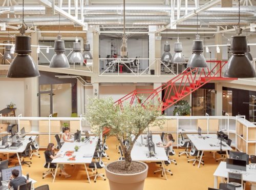 Cowork Wayco Ruzafa Extension / José Costa