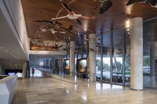 The Steinhardt Museum of Natural History (2018)