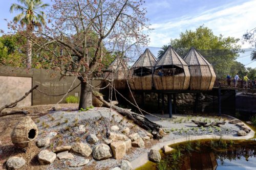 Lemur Exhibit / Snowdon Architects