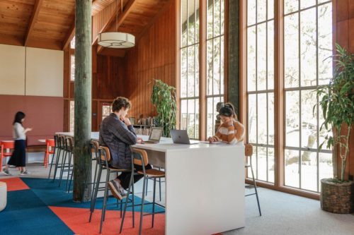 Stevenson School Library / Studio O+A