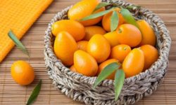 Кумкват: что это за фрукт, какую пользу несет и как помогает похудеть?