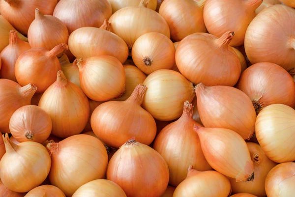 Лук