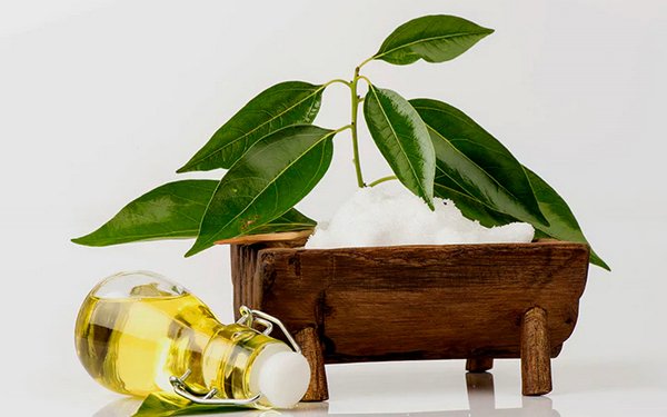 Камфора