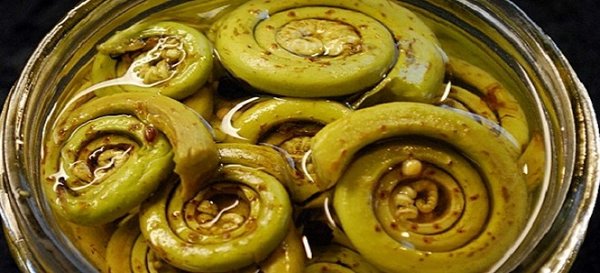 салат из папоротника
