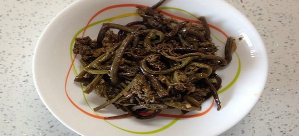 салат из папоротника